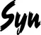 Produktbeispiel Schriftzug - Syn