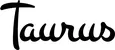 Produktbeispiel Schriftzug - Taurus