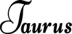 Produktbeispiel Schriftzug - Taurus