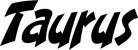 Produktbeispiel Schriftzug - Taurus