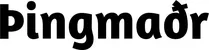Produktbeispiel Schriftzug - Þingmaðr