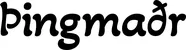 Produktbeispiel Schriftzug - Þingmaðr