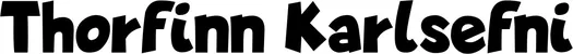 Produktbeispiel Schriftzug - Thorfinn Karlsefni