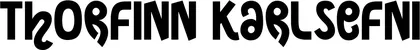 Produktbeispiel Schriftzug - Thorfinn Karlsefni