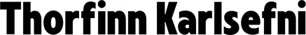 Produktbeispiel Schriftzug - Thorfinn Karlsefni