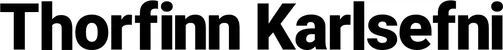 Produktbeispiel Schriftzug - Thorfinn Karlsefni