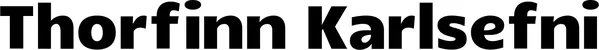 Produktbeispiel Schriftzug - Thorfinn Karlsefni