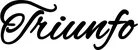 Produktbeispiel Schriftzug - Triunfo