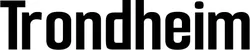 Produktbeispiel Schriftzug - Trondheim