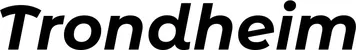 Produktbeispiel Schriftzug - Trondheim