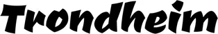 Produktbeispiel Schriftzug - Trondheim