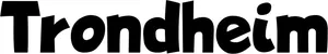 Produktbeispiel Schriftzug - Trondheim