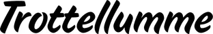 Produktbeispiel Schriftzug - Trottellumme