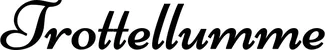 Produktbeispiel Schriftzug - Trottellumme
