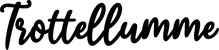 Produktbeispiel Schriftzug - Trottellumme