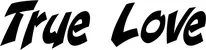 Produktbeispiel Schriftzug - True Love