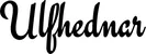 Produktbeispiel Schriftzug - Ulfhednar