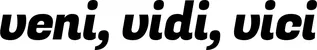 Produktbeispiel Schriftzug - veni, vidi, vici