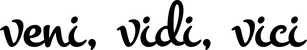 Produktbeispiel Schriftzug - veni, vidi, vici