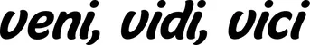 Produktbeispiel Schriftzug - veni, vidi, vici