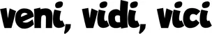 Produktbeispiel Schriftzug - veni, vidi, vici