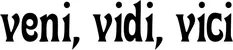 Produktbeispiel Schriftzug - veni, vidi, vici