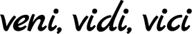 Produktbeispiel Schriftzug - veni, vidi, vici