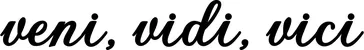 Produktbeispiel Schriftzug - veni, vidi, vici