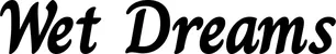 Produktbeispiel Schriftzug - Wet Dreams