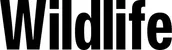 Produktbeispiel Schriftzug - Wildlife