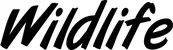 Produktbeispiel Schriftzug - Wildlife