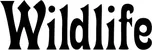 Produktbeispiel Schriftzug - Wildlife