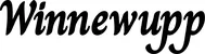 Produktbeispiel Schriftzug - Winnewupp
