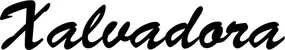 Produktbeispiel Schriftzug - Xalvadora