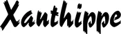 Produktbeispiel Schriftzug - Xanthippe