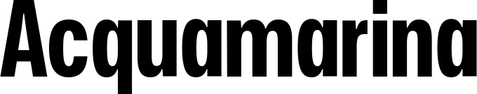 Vorschau des Bootsnamens "Acquamarina" als Schriftzug für "Bootsbeschriftung Fett 25"