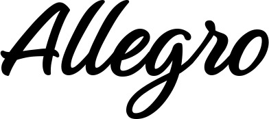 Bootsname 'Allegro' angezeigt als 'Bootsbeschriftung Klassisch 48'