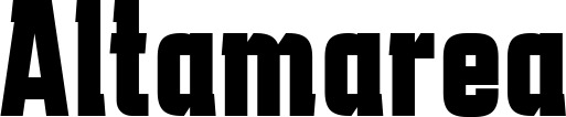 Vorschau des Bootsnamens "Altamarea" als Schriftzug für "Bootsbeschriftung Fett 41"