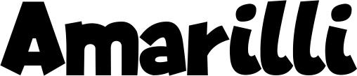 Vorschau des Bootsnamens "Amarilli" als Schriftzug für "Bootsbeschriftung Neu 48"