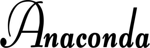 Vorschau des Bootsnamens "Anaconda" als Schriftzug für "Bootsbeschriftung Klassisch 76"