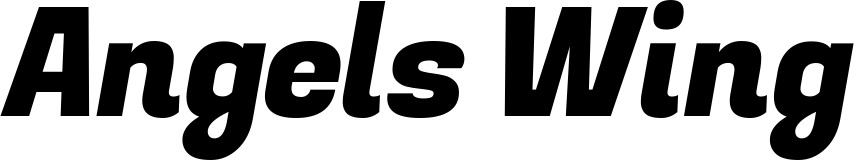 Vorschau des Bootsnamens "Angels Wing" als Schriftzug für "Bootsbeschriftung Kursiv 04"