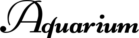 Vorschau des Bootsnamens "Aquarium" als Schriftzug für "Bootsbeschriftung Klassisch 76-A"