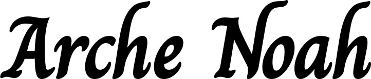 Vorschau des Bootsnamens "Arche Noah" als Schriftzug für "Bootsbeschriftung Klassisch 51"