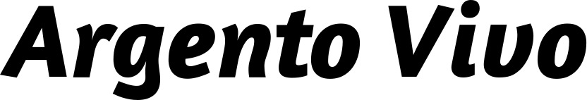 Vorschau des Bootsnamens "Argento Vivo" als Schriftzug für "Bootsbeschriftung Kursiv 01"