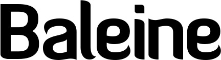 Vorschau des Bootsnamens "Baleine" als Schriftzug für "Style Normal 06"