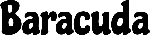 Vorschau des Bootsnamens "Baracuda" als Schriftzug für "Bootsbeschriftung Neu 41"