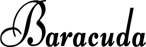 Vorschau des Bootsnamens "Baracuda" als Schriftzug für "Bootsbeschriftung Klassisch 76"