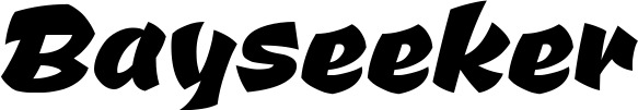 Vorschau des Bootsnamens "Bayseeker" als Schriftzug für "Bootsbeschriftung Neu 39"