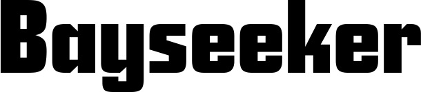Vorschau des Bootsnamens "Bayseeker" als Schriftzug für "Bootsbeschriftung Neu 11"