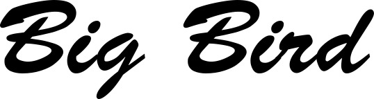 Vorschau des Bootsnamens "Big Bird" als Schriftzug für "Bootsbeschriftung Klassisch 03"